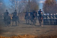 Ćwiczenia Policji Konnej i mundurowych z katowickiego oddziału prewencji