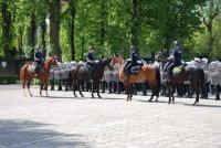 Ćwiczenia Nieetatowego Pododdziału Prewencji z koniami policyjnymi.